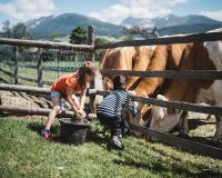 bauernhofurlaub-oesterreich.jpg