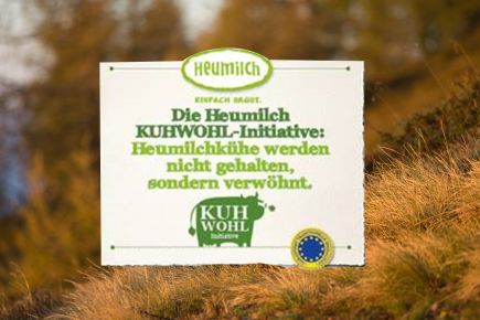 Heumilch Kühe