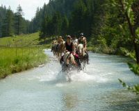 Reiten bei Angermann Loisi